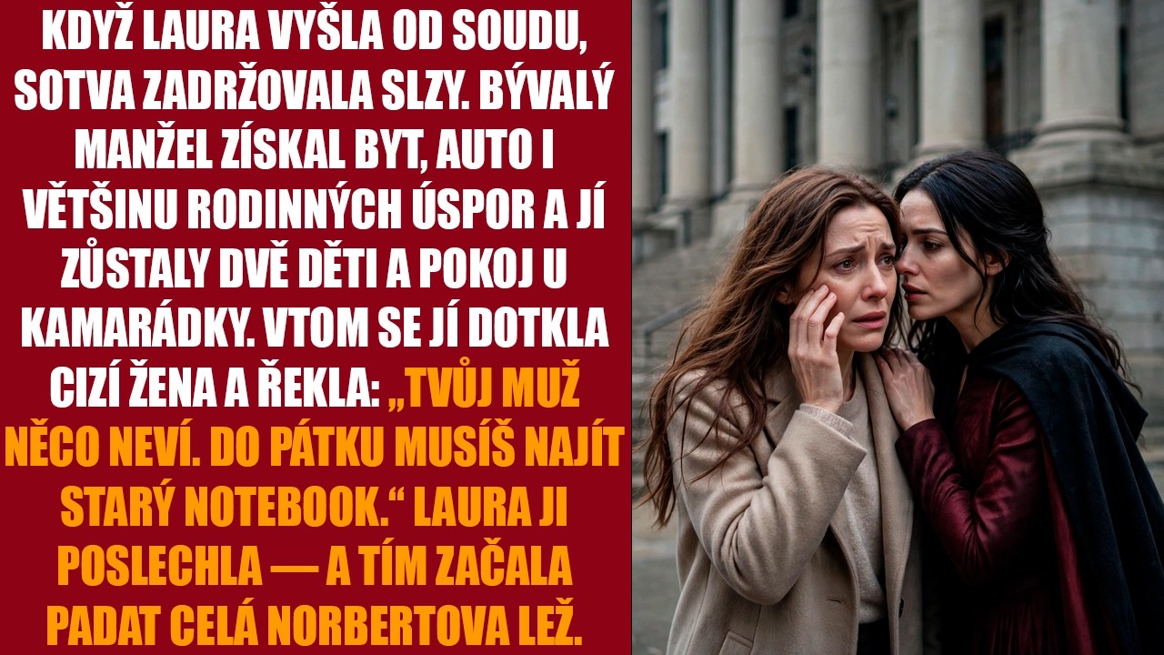 Můj manžel si upravil manžetu dřív, než soudkyně dočetla rozsudek. Věděl, že vyhrál. Byt, který jsem zaplatila z peněz po babičce, úspory i auto se proměnily v jeho „výhradní majetek.“ Pak se ke...