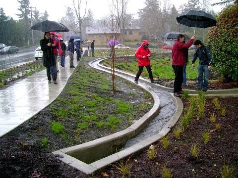 Artful Rainwater Design