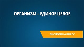 Организм – единое целое