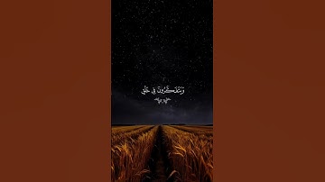 سورة آل عمران… ارح قلبك😴♡| #قرآن #تلاوة_خاشعة #سعد_الغامدي #راحة_نفسية #تابعوني #اكسبلور #لايك