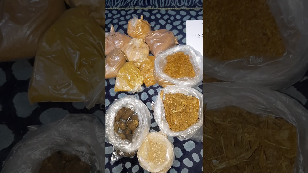 SOUNGOUF YI DOKH SI KARANGUÉ AK OUBÉKAY SI LEP LOY YEUNGATOU