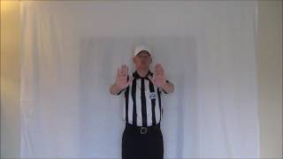 Official Signal 33 Pass interference
