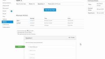 Using the Test Student in Canvas
