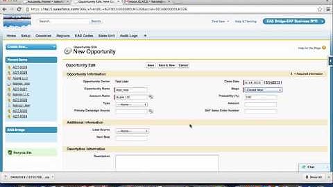 Salesforce - ByD integration