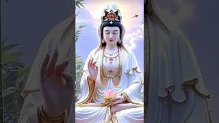 Hoc Theo Đức Hạnh Của Ngài