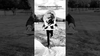 Mlk Day shorts mlkday riceart legendsneverdie