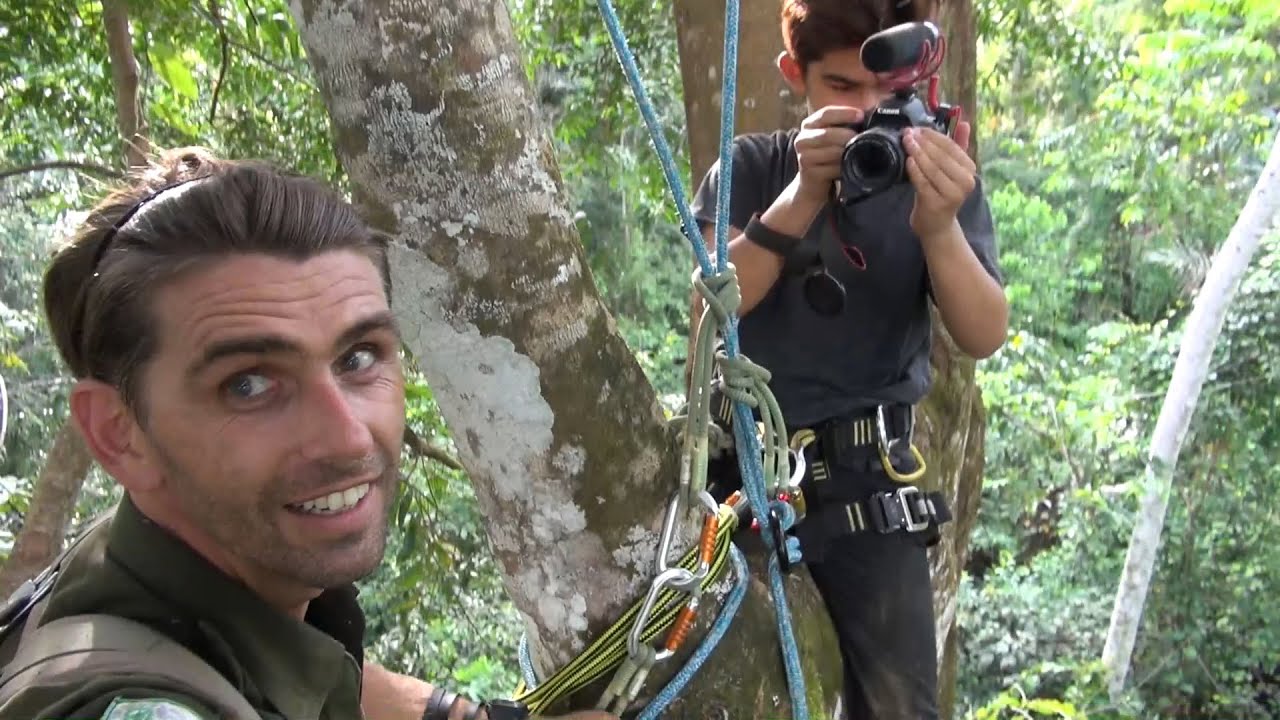 Chanee dan Andrew di atas pohon... [CHANEE DANS LA CANOPÉE AVEC SON FILS]