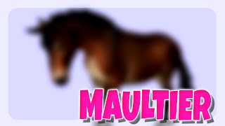 NEUE PFERDE: MULIS GEN 3 - DAS NEUE MAULTIER 🐴 | Star Stable [SSO]