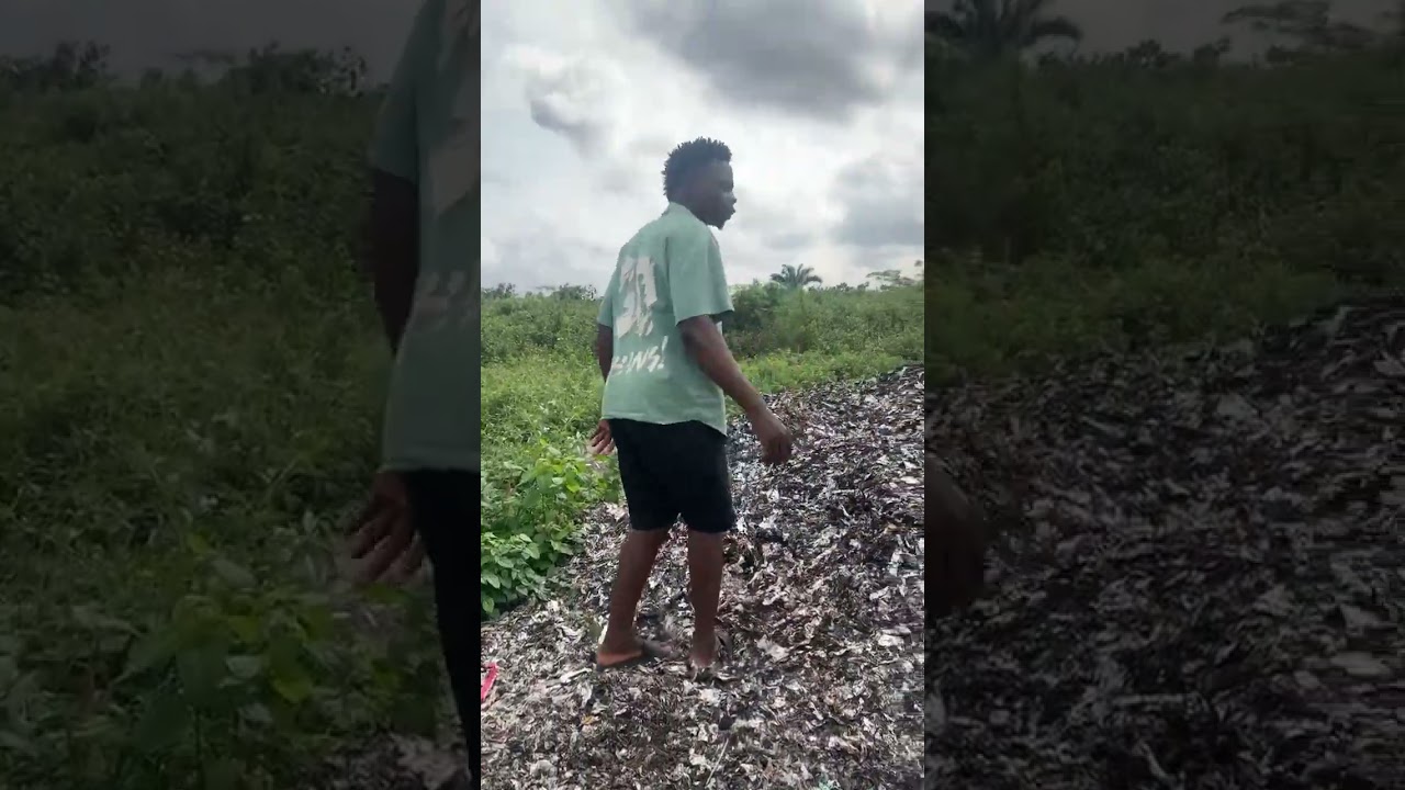 My new business 💴 #trending #comdeymemes #africangenre #viral #viralsong #business #money #explore