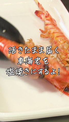 活き車海老の鹽燒きレシピ #shorts