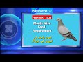 Dove Pigeon FEBRUARY Feed Formulas | فاختہ کبوتر کی فروری کی خوراک @NadiaPetsCross