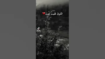الشوق للميت يميت حالات واتساب فيسبوك ستوريات انستغرام 