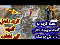 حمله گربه به گنجه کبوترای جوجه کشی و در آخر خودش گیر افتاده