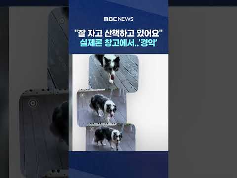 "잘 자고 산책하고 있어요" 실제론 창고에서..'경악' #Shorts (MBC뉴스)
