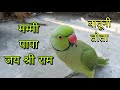 Parrot real voice  best talking parrot  new parrot   only parrot  funny parrot