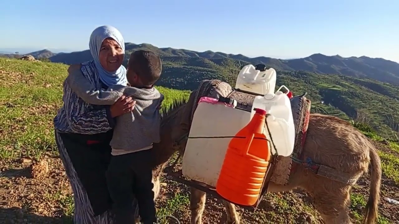 نشيين سقوم العنصر