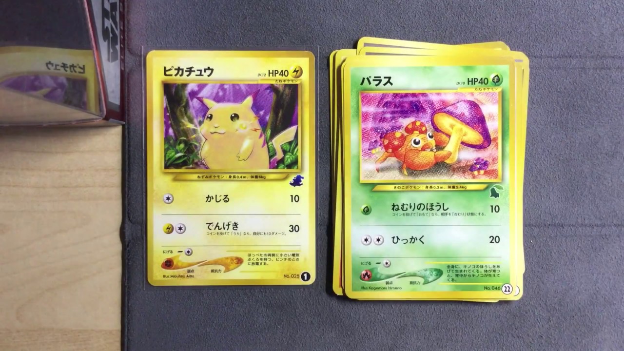 Pokemon Intro Pack Neo - Totodile Deck cards - Chikorita Deck cards