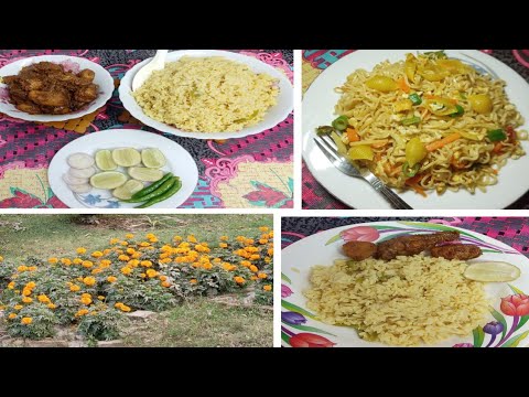 কাল বিকেল থেকে আজ দুপুর পর্যন্ত শেয়ার করলাম | Bangladeshi Vloger China |