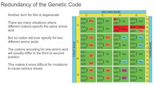 Redundancy of the Genetic Code