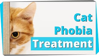 Exposure Treatment For Fear Of Cats Ailurophobia