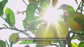 Video Marketing Analytics – Track, Optimize & Boost Engagement