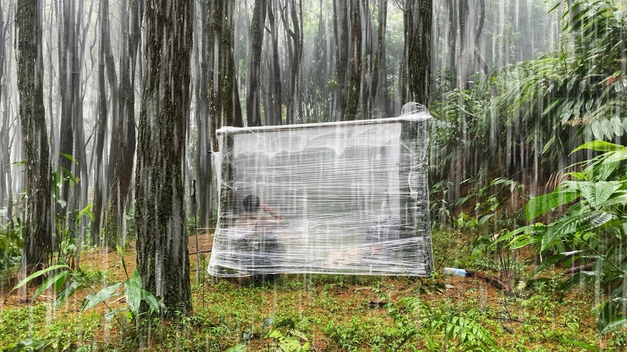 2 DAYS SURVIVING • I BUILD A SURVIVAL SHELTER WITH PLASTIC WARP DURING ...