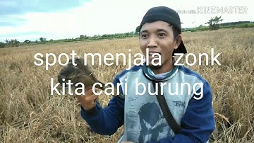 Berburu belibis pake tangan kosong