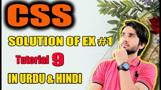 Celebrity Solution of CSS Exercise (Complete HTML and CSS Course 2023) Net Worth