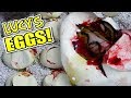 MY GIANT SNAKE (Lucy's) EGGS ARE HATCHING!! COW RETIC GETS CAGE AT MY REPTILE ZOO!! | BRIAN BARCZYK