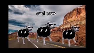 60 Polish Cow sound variations in 3 minutes 30 seconds