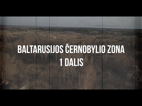 Video: Kelionė į Baltarusiją Automobiliu, Nesvyžiaus 1 Dalis