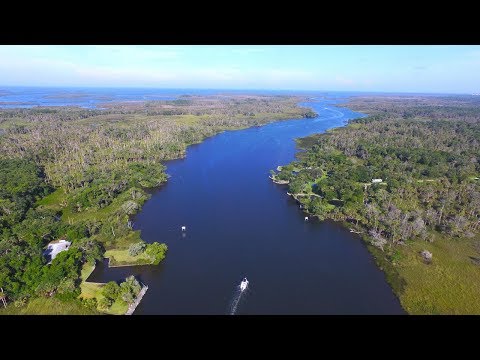 Florida Travel: Visit Crystal River Preserve State Park