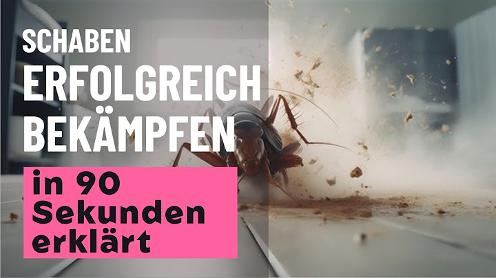 Schaben bekämpfen: Kakerlaken bekämpfen in 90 Sekunden erklärt!