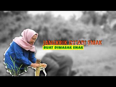 Mencari Jangkrik Diolah Tumis | ENAH BIKIN ENAK (14/09/26) P3