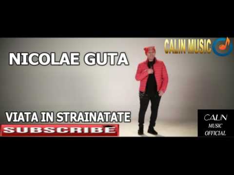NICOLAE GUTA - VIATA IN STRAINATATE NEW 2017