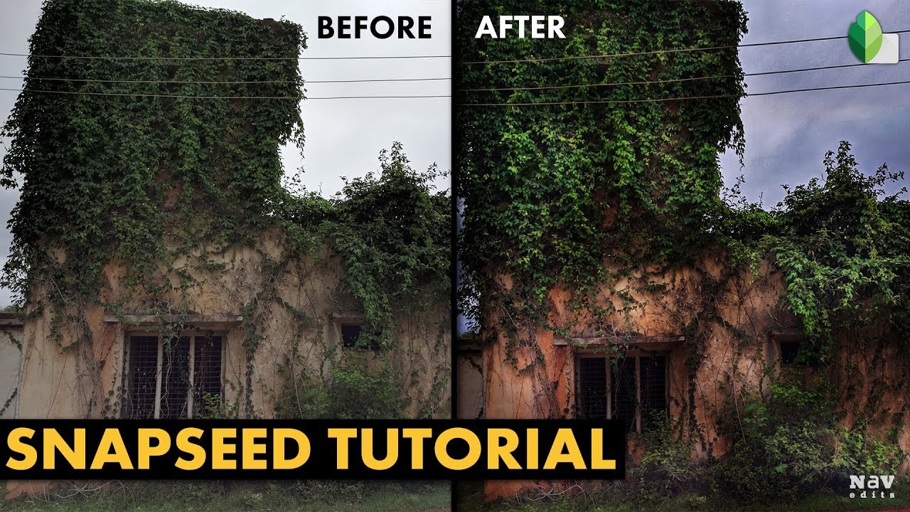 Dodge and Burn Effect to Make Image Pop in Snapseed | Android | iPhone
