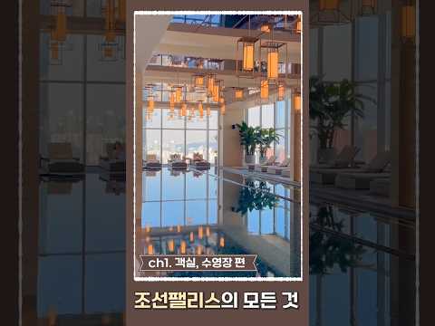 서울 조선팰리스 강남 호텔 객실 수영장 후기 마스터스룸 너무 예쁜 씨티뷰 수영장 