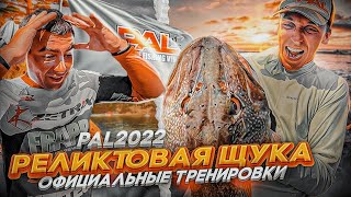 РЕЛИКТОВАЯ ЩУКА... Начало PAL 2022. Этот турнир будет ТРОФЕЙНЫМ. СЛОМАЛСЯ ГИДРОЛИФТ!