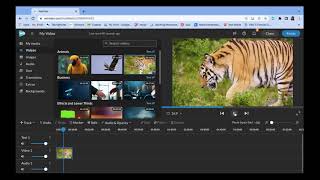 WeVideo Basics!