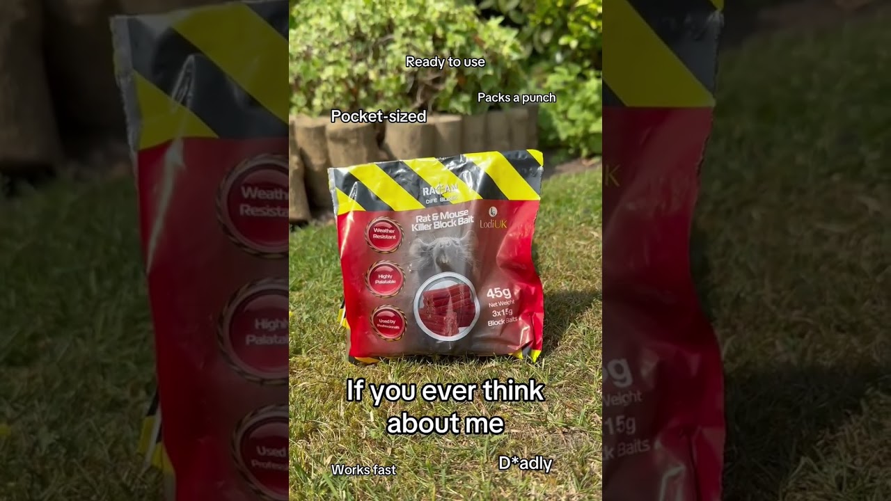 How to deal with a rodent infestation