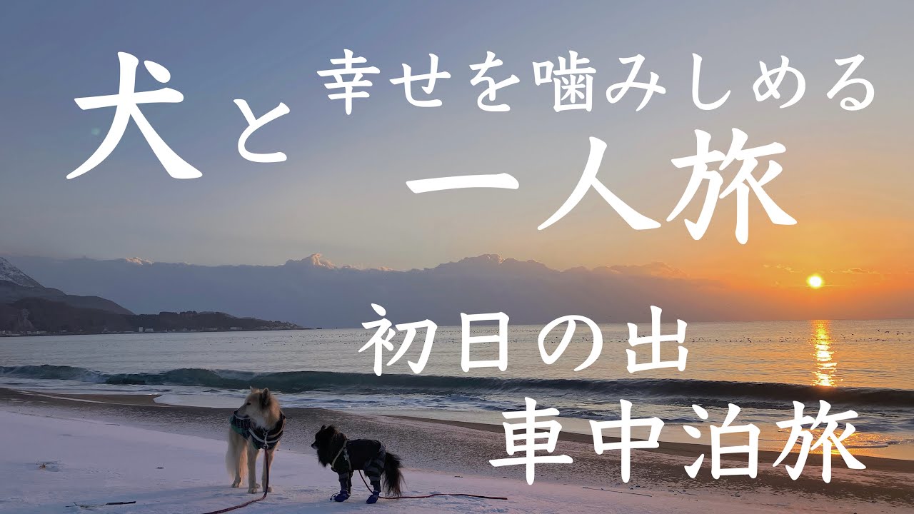 【女一人、犬とキャンピングカー旅】おひとりさまの年越しは…小さな家族とキャンピングカーで過ごす幸せな年越しだった…☺️〜年末年始道南車中泊旅⑧