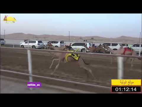 الشوط 11 دولة لـ جاسم علي الدرعي شارة الشيخ محمد بن زايد الجمعة 2019 07 5 الرقيعات فطامين