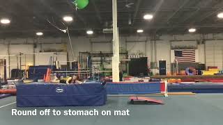 Gymnastics II & III Vault Skills