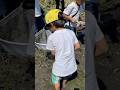 池の水全部抜く大作戦に参加してきた#shorts