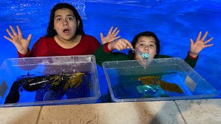 Last To Stop Making SLIME in the POOL WINS CHRISTMAS PRESENTS!!!