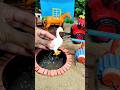 mini tractor video mini water pump science project #ytshorts #tractor #cartoon 95