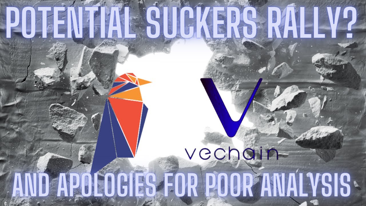 Ravencoin & VeChain Potential Suckers Rally?? - YouTube
