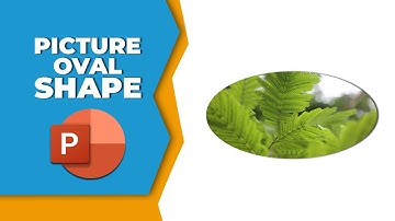 How to Crop a picture to the oval shape in PowerPoint