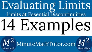 Evaluating Limits at Essential Discontinuities | 14 Examples