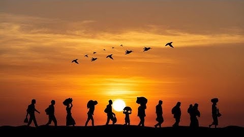 Migration Dynamics : The Great Escape